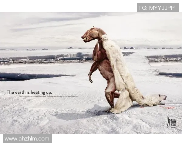 东京地球之友与爱媛维京人精彩对决揭示环保与运动的完美结合 东京地球之友与爱媛维京人精彩对决揭示环保与运动的完美结合